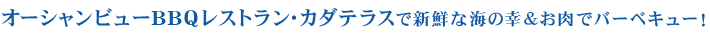 オーシャンビューBBQレストラン・カダテラスで新鮮な海の幸＆お肉でバーベキュー！